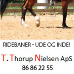 T. Thorup